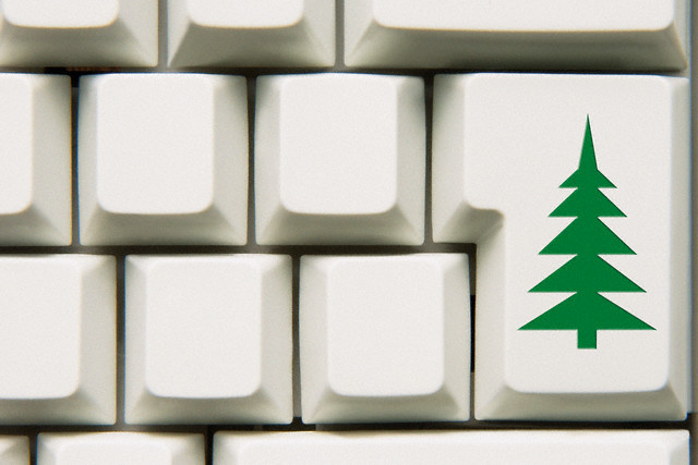 canlı Noel ağacı - çevrimiçi mağaza sipariş