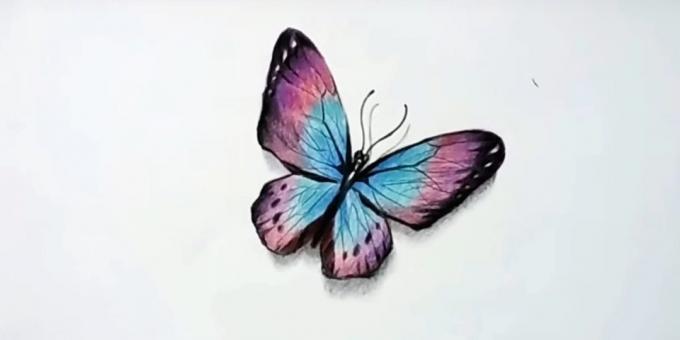gerçekçi bir kelebek renkli kalem çizmek için
