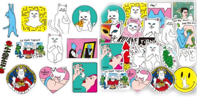 bir kedi ile bir dizüstü Sticker RIPNDIP