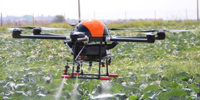 Drone büyümek bitkileri yardımcı olur