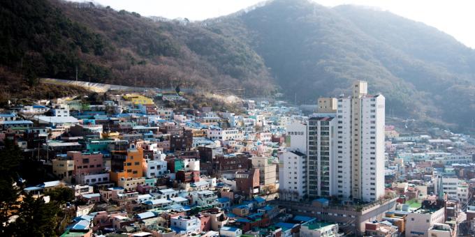 Busan, Jeju ve Yongpyong Kayak Merkezi