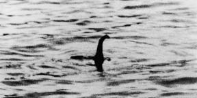 Bilim adamları Loch Ness canavarı DNA ile ilgili konuştu