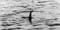 Bilim adamları Loch Ness canavarı DNA ile ilgili konuştu