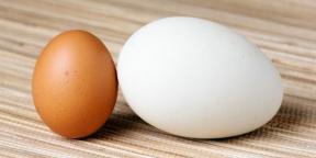 Kaz yumurtası nasıl ve ne kadar pişirilir