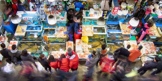 Gezi Güney Kore: balık pazarını ziyaret etmek gereklidir