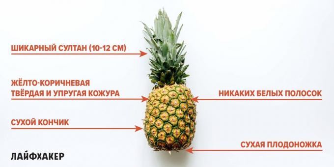 Bir ananas nasıl seçilir: olgun ananas belirtileri