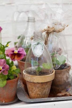 plastik şişelerden çiçekler için Konteyner