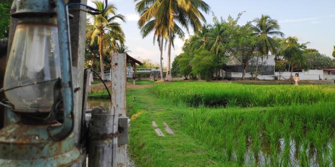 Langkawi'nin simge yapıları: Laman Padi Pirinç Kültürü Müzesi