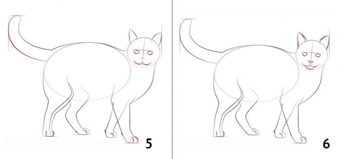 Nasıl bir kedi çizmek için